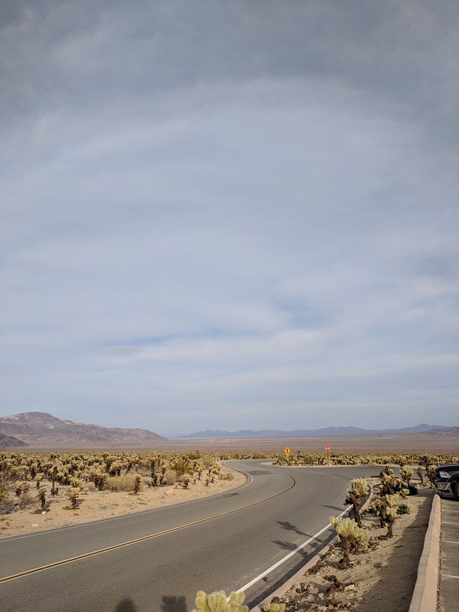 Placeholder photo: Desert light
